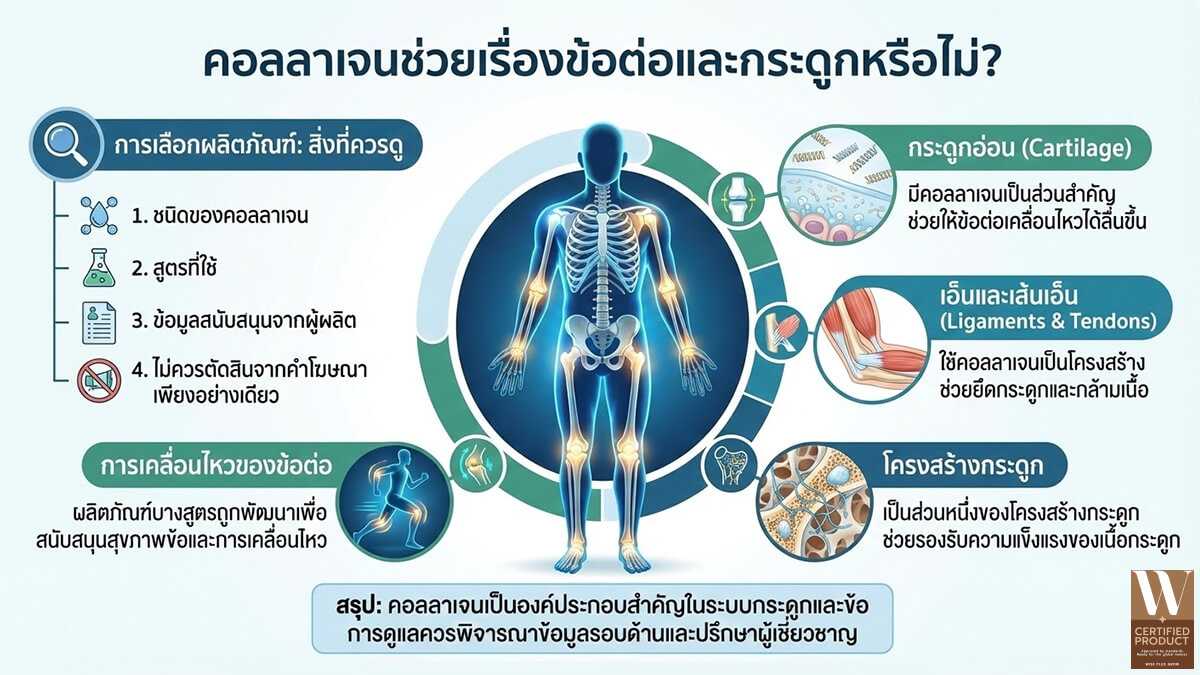 คอลลาเจนกับบทบาทในการดูแลกระดูกอ่อน ข้อต่อ และโครงสร้างกระดูก