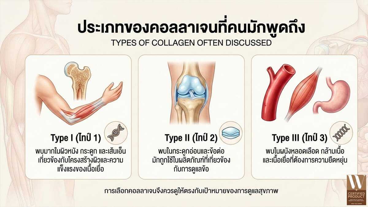 ประเภทคอลลาเจนที่พบในผิว กระดูก และข้อต่อ