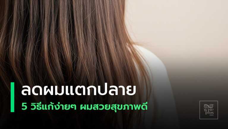 ปกบทความผมแตกปลายและวิธีแก้ให้ผมสวยสุขภาพดี