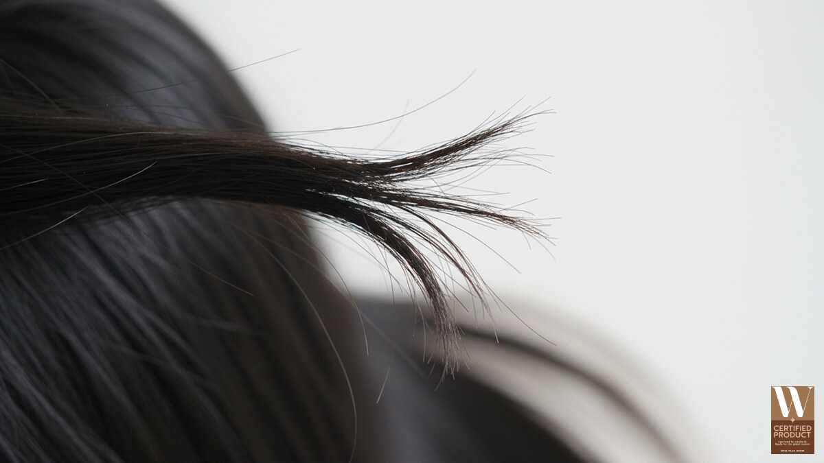 ผมแตกปลายคืออะไร