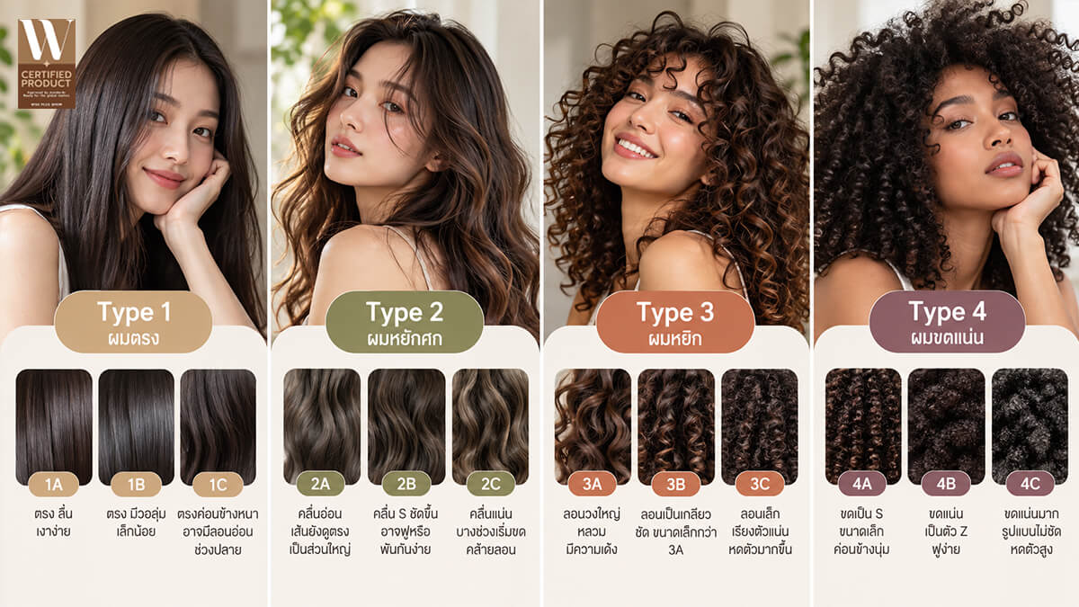 ประเภท Hair Type 1A-4C มีอะไรบ้าง
