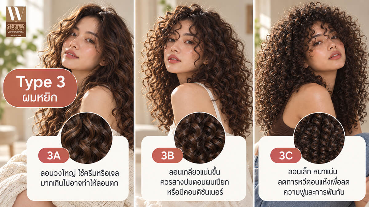 Type 3 ผมหยิก
