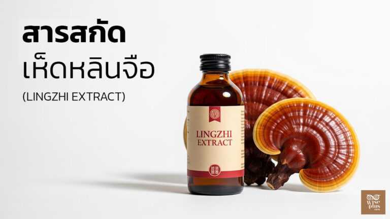 สารสกัดเห็ดหลินจือเพื่อผิวแข็งแรงและชุ่มชื้น