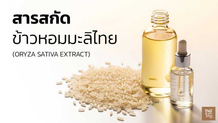 สารสกัดข้าวหอมมะลิไทยเพื่อผิวชุ่มชื้นและกระจ่างใส