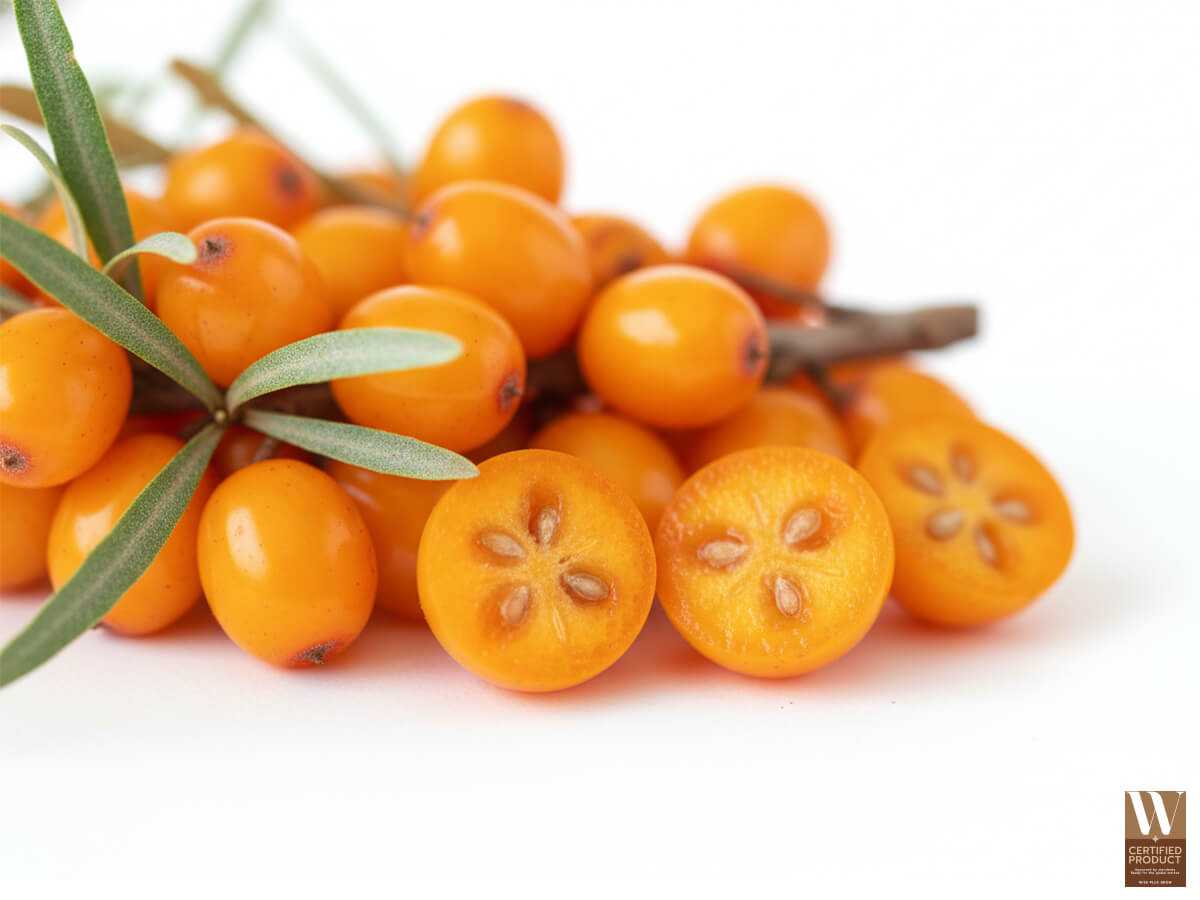 สารอาหารและสารออกฤทธิ์สำคัญในซีบัคธอร์นที่มีประโยชน์ต่อผิว