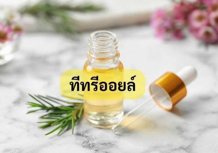 ทีทรีออยล์