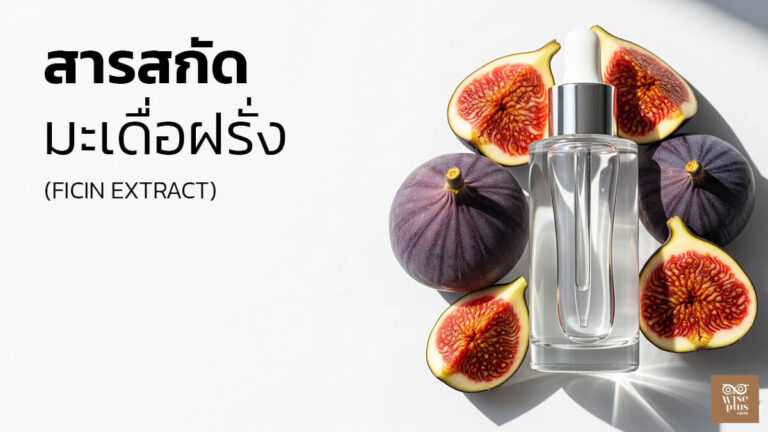 สารสกัดลูกฟิกเอนไซม์ผลัดผิวธรรมชาติ