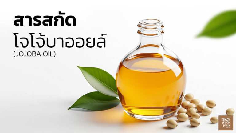 โจโจ้บาออยล์ น้ำมันสกัดสำหรับสกินแคร์และดูแลผิว