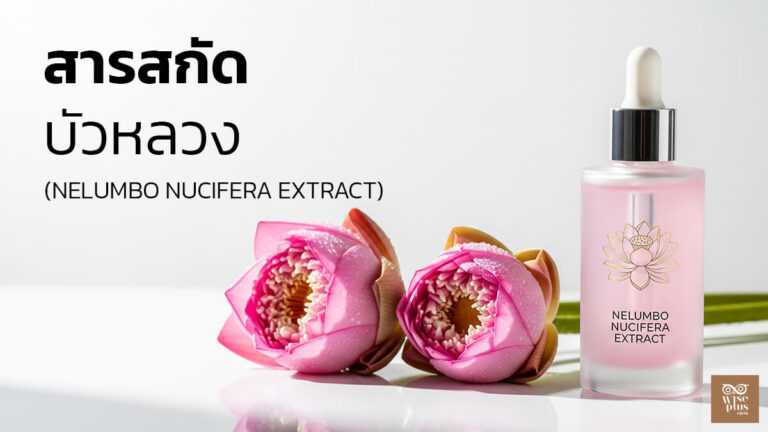 สารสกัดบัวหลวงเพื่อผิวกระจ่างใสและคุมมัน
