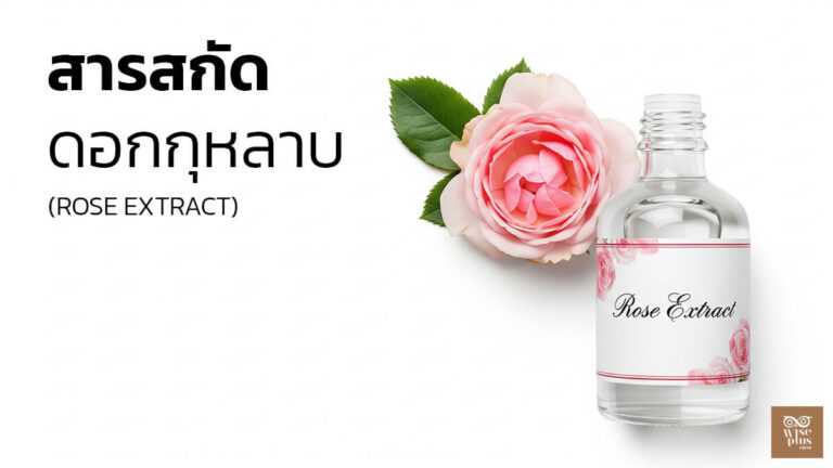 สารสกัดดอกกุหลาบเพื่อผิวกระจ่างใส