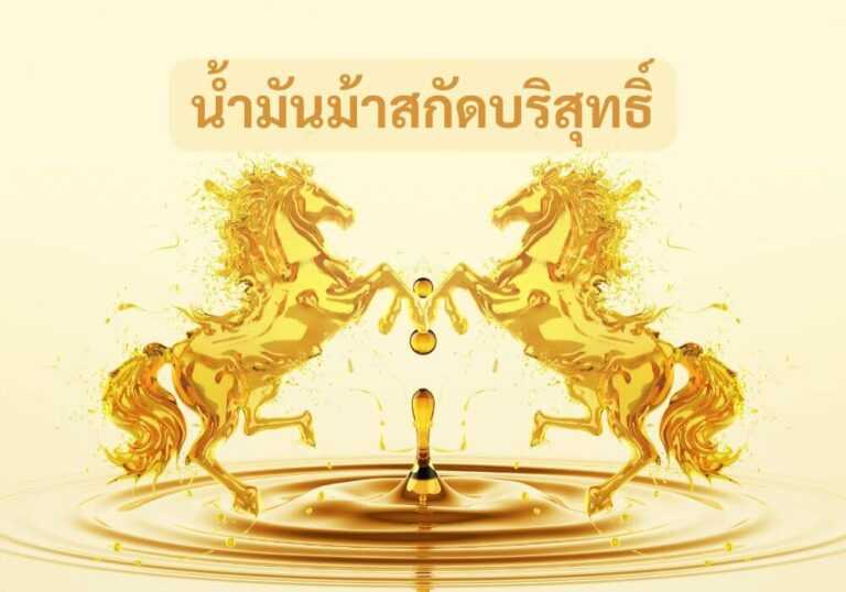 น้ำมันม้าสกัดบริสุทธิ์