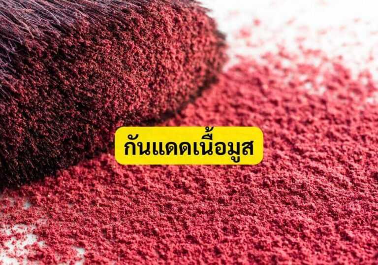 บลัชออนแบบแท่ง
