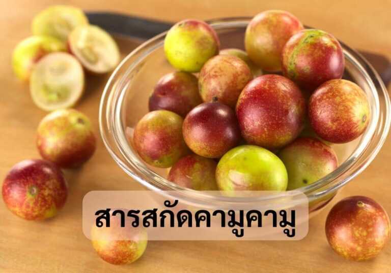 สารสกัดคามูคามู