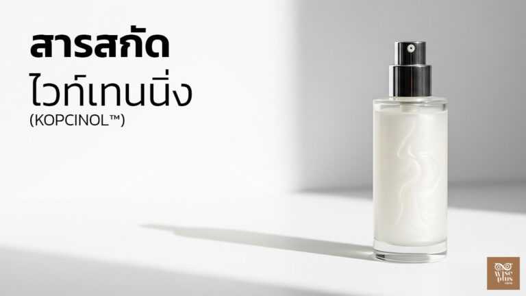 สารสกัด Kopcinol เพื่อผิวขาวกระจ่างใสและลดฝ้าอย่างปลอดภัย