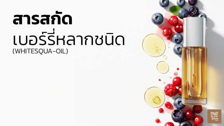 สารสกัด WhiteSqua-Oil จากเบอร์รี่และน้ำมันสควาเลนเพื่อผิวกระจ่างใส