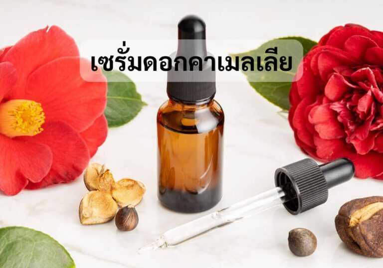 เซรั่มดอกคาเมลเลีย