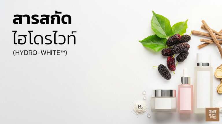 สารไวท์เทนนิ่งสูตรผสม Hydro-White เพื่อผิวขาวกระจ่างใสอย่างปลอดภัย