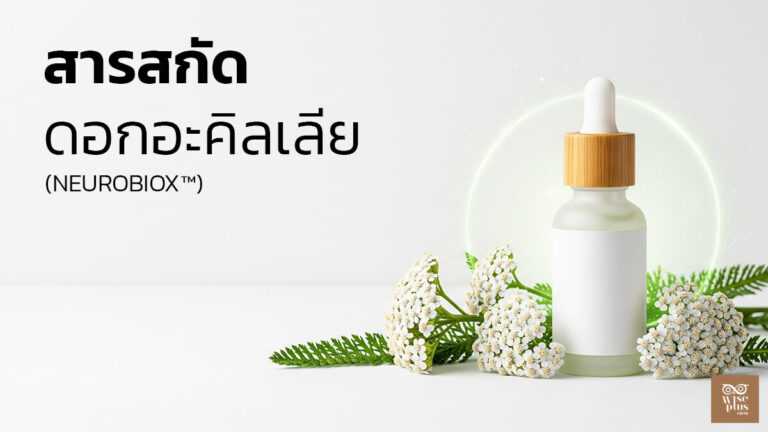 เซรั่มสารสกัดอะคิลเลีย มิลเลโฟเลียมผลัดเซลล์ผิวอย่างอ่อนโยน