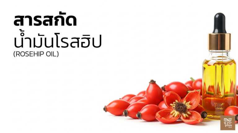 น้ำมันโรสฮิปบริสุทธิ์สำหรับบำรุงผิวจากธรรมชาติ