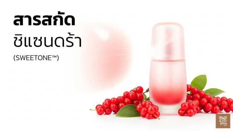 เซรั่มสารสกัดชิแซนดร้าช่วยปลอบประโลมผิวแพ้ง่ายและลดรอยแดง