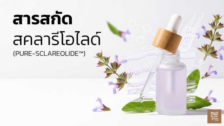 สารสกัด Pure-Sclareolide กระตุ้นคอลลาเจนเพื่อผิวกระชับเรียบเนียน