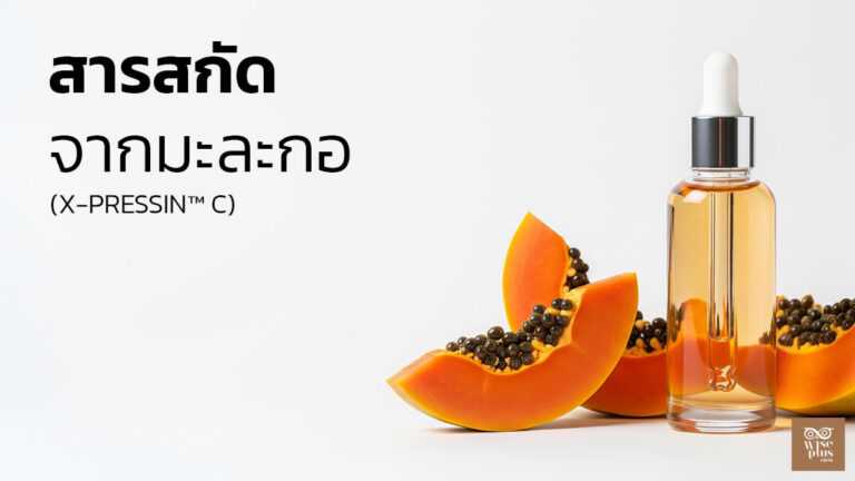 สารสกัดมะละกอ X-Pressin C เพื่อผลัดเซลล์ผิวอย่างอ่อนโยน