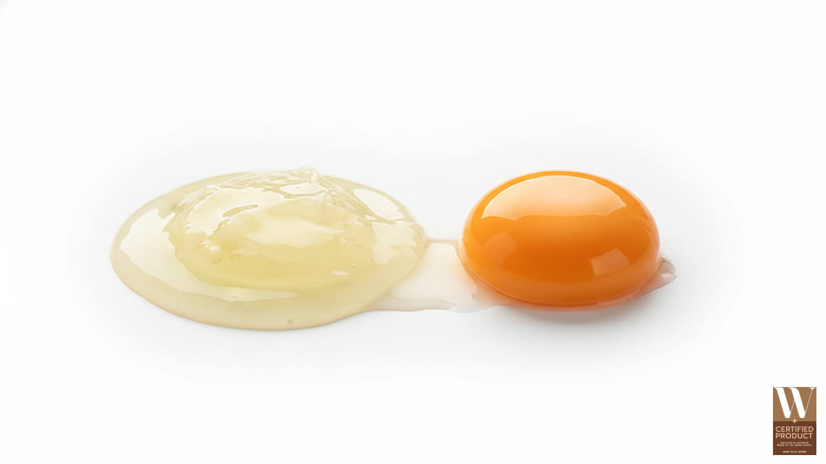 ไข่ขาว vs ไข่แดง ต่างกันอย่างไร คุณค่าทางโภชนาการและประโยชน์ต่อร่างกายและผิว