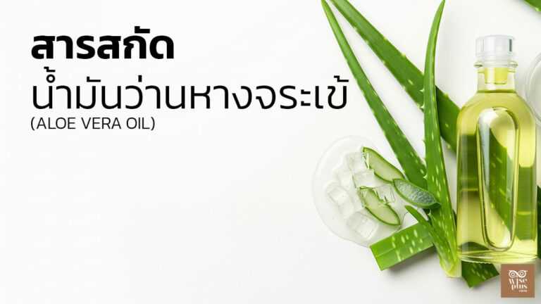 น้ำมันว่านหางจระเข้บำรุงผิวสกัดจากธรรมชาติ