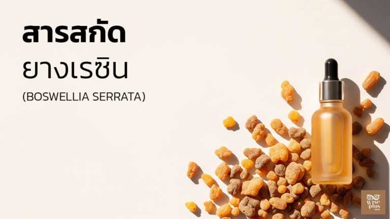 เซรั่มสารสกัด Boswellia Serrata ยางเรซิน