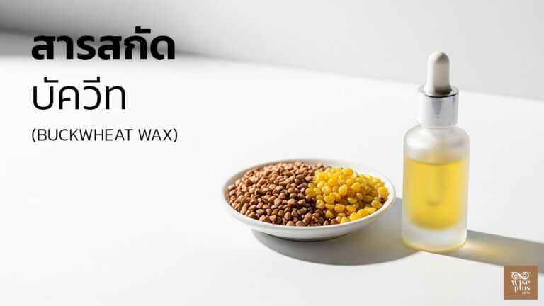 เซรั่มสารสกัด Buckwheat Wax ลดบวมรอบดวงตา