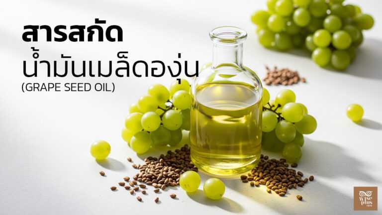 น้ำมันเมล็ดองุ่นสกัดเย็นสำหรับผิวกระจ่างใสและสุขภาพดี
