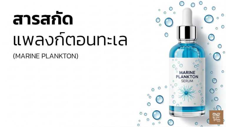 เซรั่มสารสกัดแพลงก์ตอนทะเลเพิ่มความชุ่มชื้นและปลอบประโลมผิว