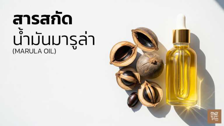 น้ำมันมารูล่าสกัดเย็นจากแอฟริกาเพื่อบำรุงผิวแห้งและแพ้ง่าย