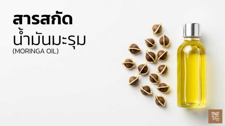 น้ำมันมะรุมสกัดเย็นสำหรับสกินแคร์ธรรมชาติ