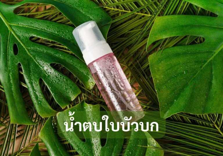 น้ำตบใบบัวบก