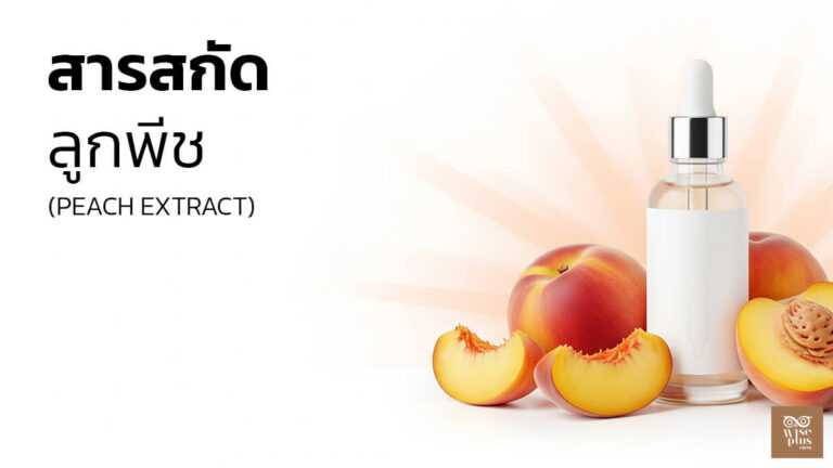 สารสกัดลูกพีชเพื่อผิวใสชุ่มชื้น