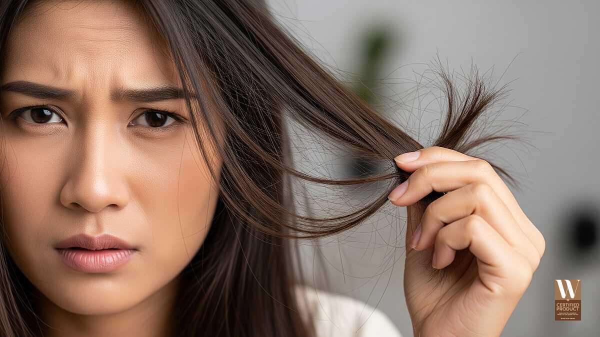 สัญญาณผมเสียจากการใช้เคราตินหมักผมมากเกินไป