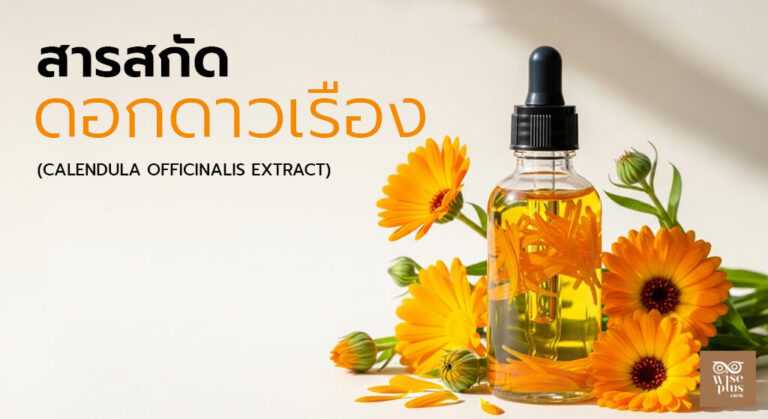 ขวดสารสกัดดอกดาวเรืองและดอกดาวเรืองบนพื้นหลังสีขาวนวลในสไตล์พรีเมียม