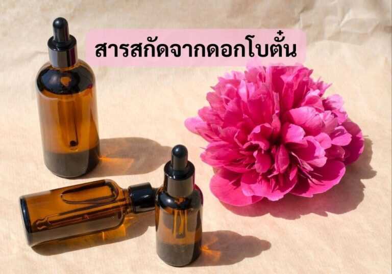 สารสกัดจากดอกโบตั๋น