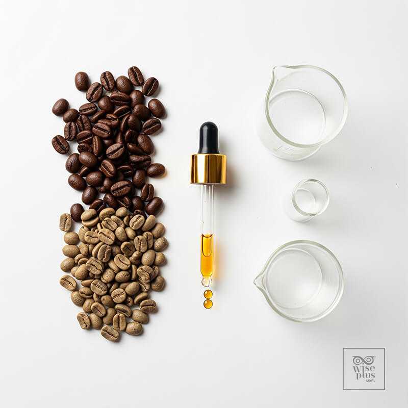 เมล็ดกาแฟกับดรอปเปอร์และอุปกรณ์สกัดสำหรับสกินแคร์