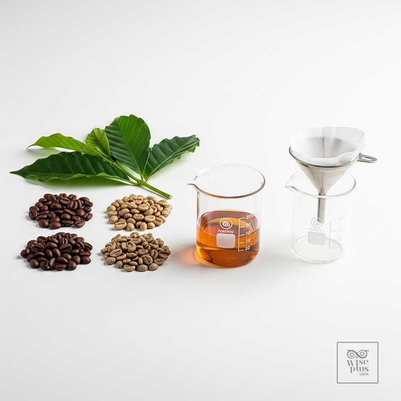 แหล่งที่มาสารสกัดกาแฟและกระบวนการสกัดเชิงเครื่องสำอาง