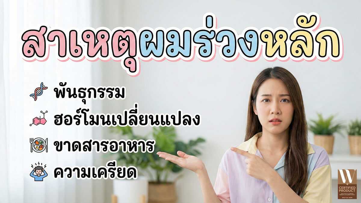 สาเหตุผมร่วงหลัก