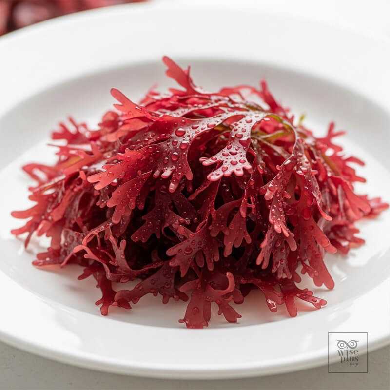 สาหร่ายแดงส่วนผสมสกินแคร์บำรุงผิว