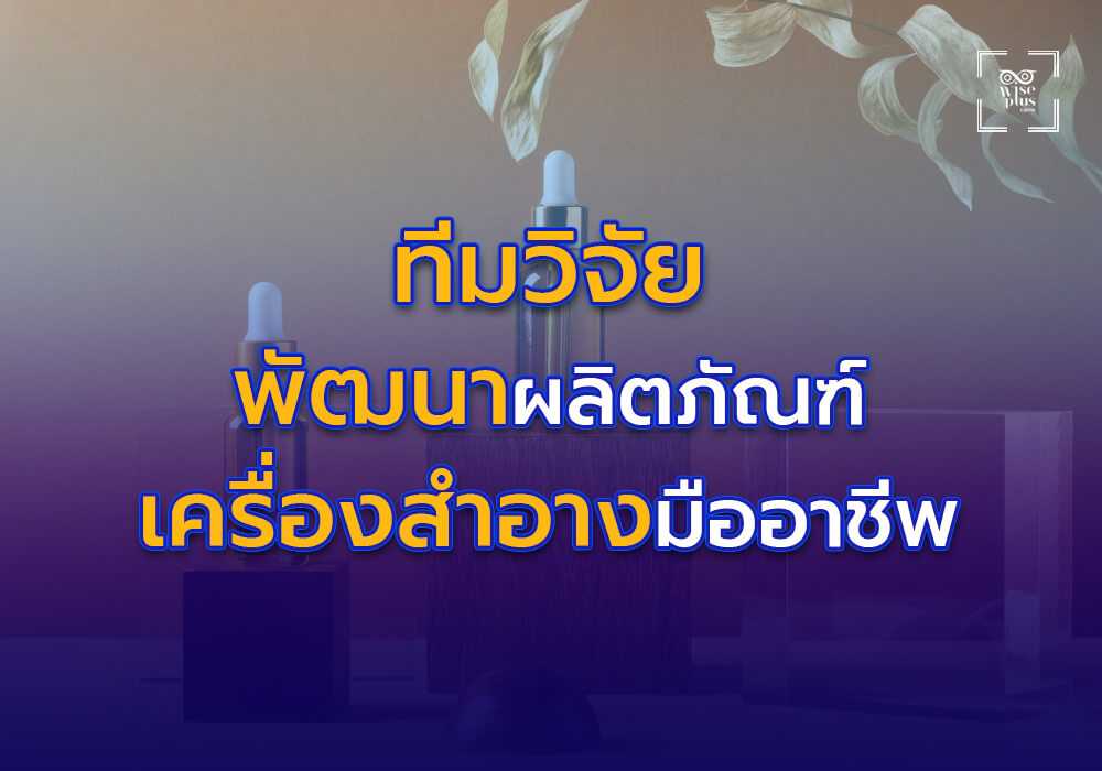 ทีมวิจัยและพัฒนาผลิตภัณฑ์มืออาชีพ