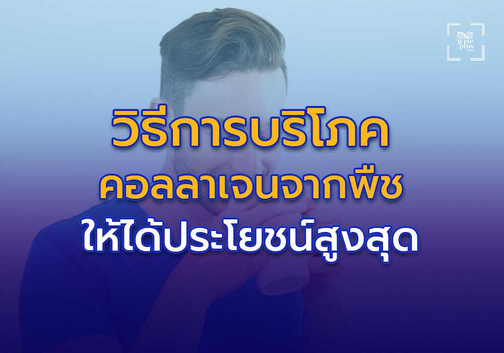 วิธีการบริโภคคอลลาเจนจากพืชให้ได้ประโยชน์สูงสุด