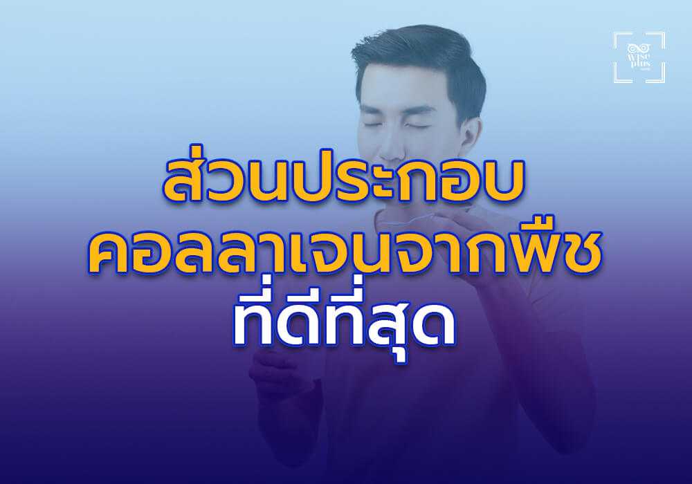 ส่วนประกอบสำคัญในคอลลาเจนจากพืชที่ดีที่สุด