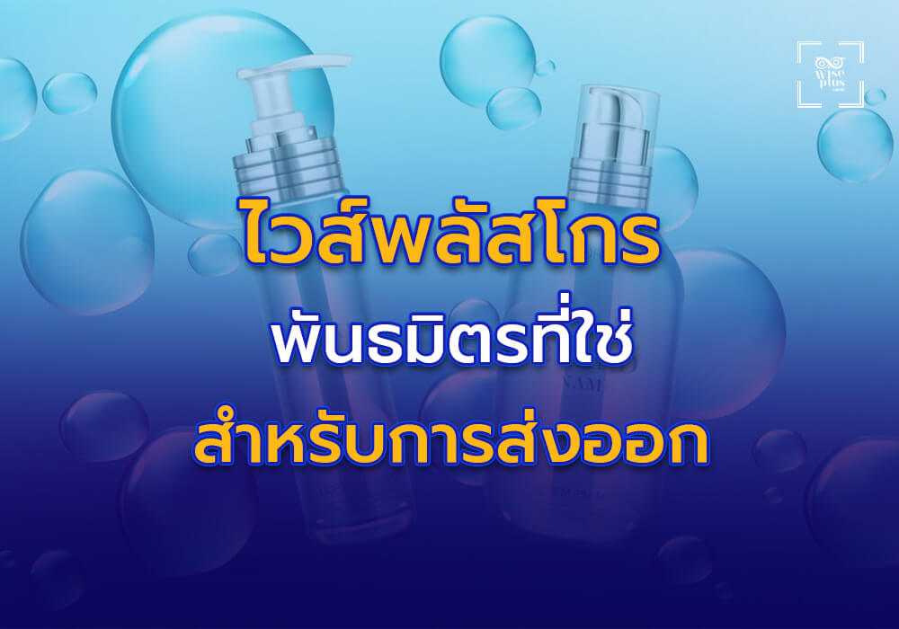 ไวส์พลัสโกร พันธมิตรที่ใช่สำหรับการส่งออกเครื่องสำอางไทย