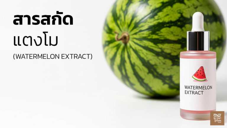 สารสกัดแตงโมเติมน้ำและปกป้องผิว