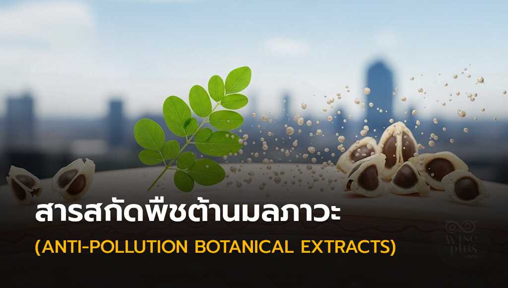 สารสกัดพืชต้านมลภาวะ (Anti-Pollution Botanical Extracts)