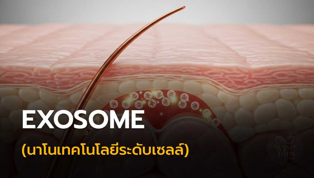 Exosome (นาโนเทคโนโลยีระดับเซลล์)